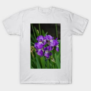 Flower with morning dew T-Shirt